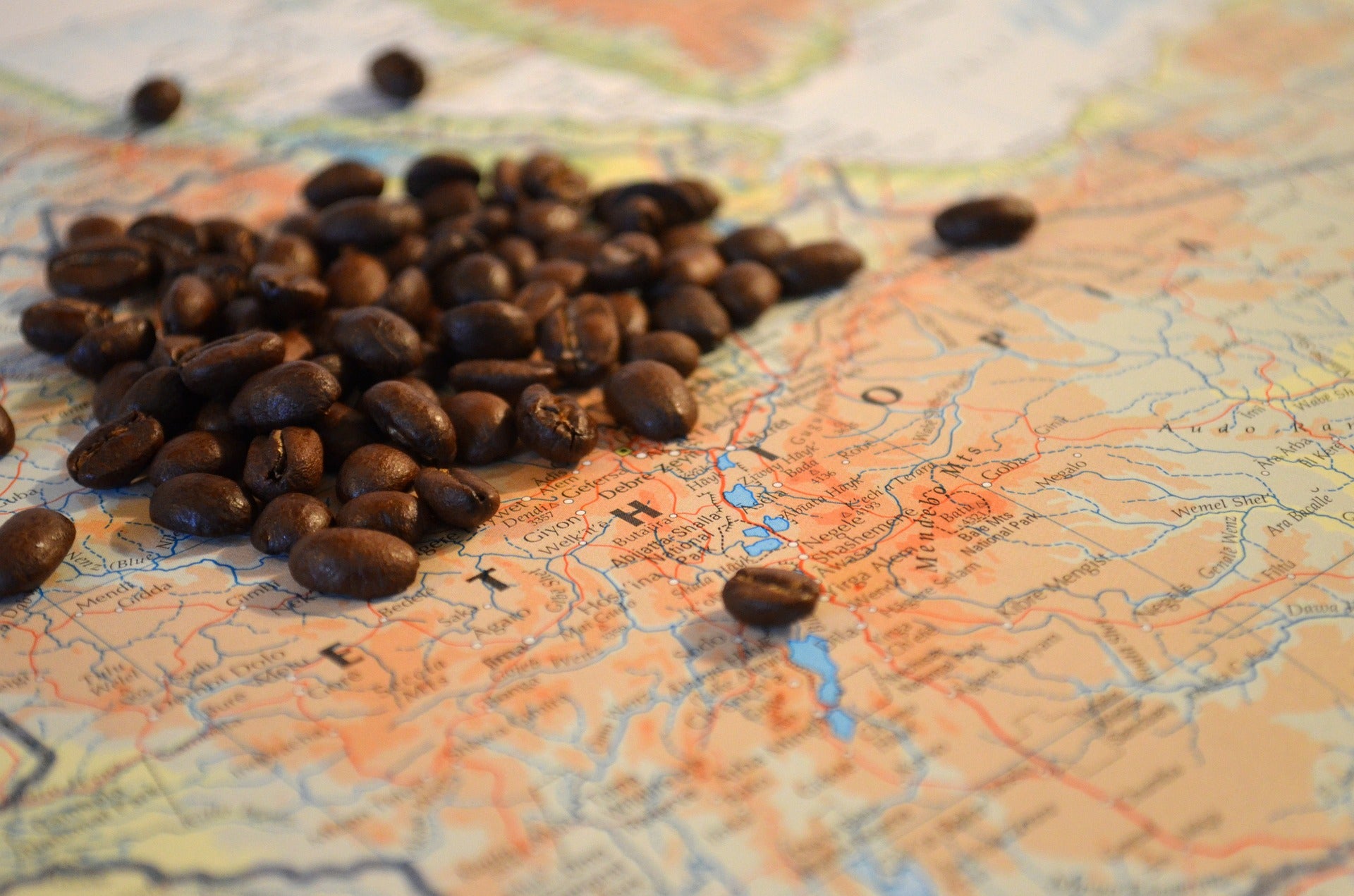 Ethiopian Coffee Culture: Social Ritual in a Cup